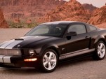 07shelbyscca.jpg