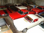103_collection_mustangs.jpg