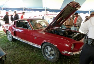 1968 Shelby Cobra Mustang GT500-KR - Photo copyright Thomas Bey