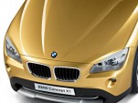 2008 BMW Concept X1