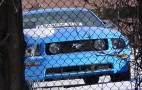 Grabber Blue and Amber Gold Mustangs Spotted