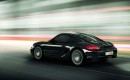 2008 Porsche Cayman S