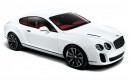 2009 bentley continental supersports 004
