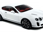 2009 Bentley Continental Supersports Biofuel