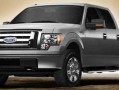 2009 Ford F-150
