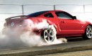 2009 Ford Mustang marks pony car's 45th anniversary