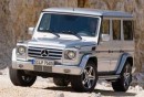 2009 Mercedes-Benz G Class 5.5L AMG