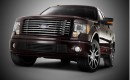2010 Ford Harley-Davidson F-150