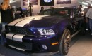 2010-shelby-gt500_blogbj.jpg