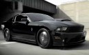 2011 Ford Mustang V-6