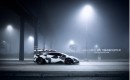John Olsson Gallardo Ski Transporter