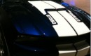 2012 Shelby Mustang GT350 leaked images