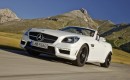 2012 Mercedes-Benz SLK55 AMG