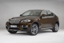 2013 BMW X6 2013 BMW X6