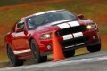 2013 Ford Shelby GT500