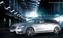 2013 Mercedes-Benz CLS 63 AMG Shooting Brake