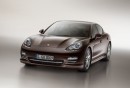 2013 Porsche Panamera 2013 Porsche Panamera Platinum Edition