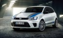 2013 Volkswagen Polo R WRC