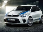 2013 Volkswagen Polo R WRC