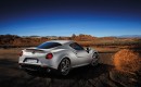 2014 Alfa Romeo 4C Launch Edition