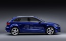 2014 Audi A3 g-tron