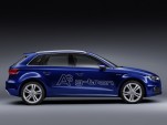 2014 Audi A3 g-tron