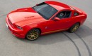 2014 Holman - Moody Tour de France Tribute Mustang - image: Holman - Moody
