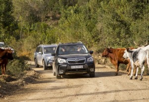 Subaru Forester Vs Subaru XV Crosstrek: Which Crossover To Buy?