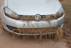 Rental Cars In Short Supply For Thanksgiving Thanks To Sandy