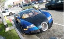 A golden retriever sits in the passenger seat of a Bugatti Veyron in L.A. 