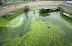 Sapphire Energy Gets $144 Million To Turn Algae Into Gasoline