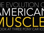 American Muscle infographic by CarDomain