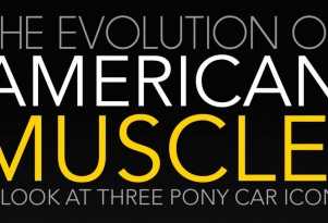 American Muscle infographic by CarDomain
