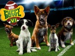 Subaru Prefers Puppy Bowl To Super Bowl & Offers Free Pet Treats On Facebook Animal Planet's Puppy Bowl