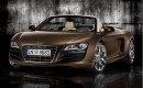 Preview: 2011 Audi R8 Spyder