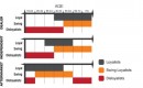 Auto service loyalty & age chart from DMEautomotive
