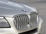 BMW grille