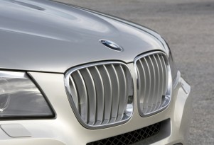 BMW grille
