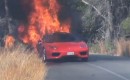 Burning Ferrari 360 Modena owned by Valencia soccer player Ever Banega 