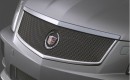 Cadillac grille