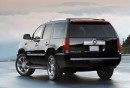 2010 Cadillac Escalade 2010 Cadillac Escalade