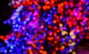 Christmas lights [Image by Flickr user Andy Peters]
