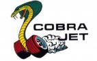 2008 Ford Racing Cobra Jet Mustang dubbed FR500CJ