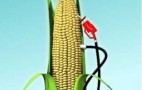 Islam and Ethanol: The Rebuttals Flood In