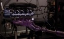 Dinan custom BMW S85 V-10 on the engine dyno