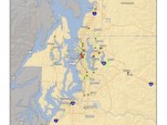 Ditch Your Gas-Guzzler: Why you Can Truly Drive Electric In Washington