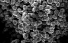Egg-Like Nano-Technology To Improve Lithium-Ion Batteries?