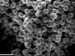 Egg-Like Nano-Technology To Improve Lithium-Ion Batteries?