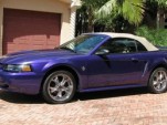 emimen_purple_mustang.jpg