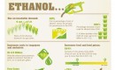 Ethanol infographic from coalition of livestock and poultry producers (crop)